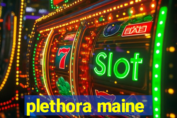 plethora maine